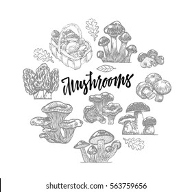 Edible mushroom icons round template in hand drawn style on white background isolated vector illustration