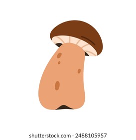 Edible mushroom. Porcini fungus, autumn forest food. Fall fungi, cap and stipe. Fresh natural fungi. Flat graphic vector illustration isolated on white background