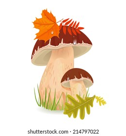 Edible mushroom porcini for you design