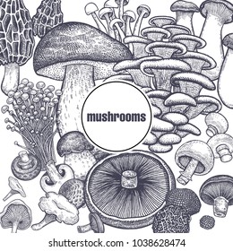 Edible mushroom poster. Bolete, Portobello, Shimeji, Champignon, Oyster mushrooms, Enoki, King trumpet, Black truffle, Morel and Chanterelle. Black, white. Vector illustration vintage engraving 