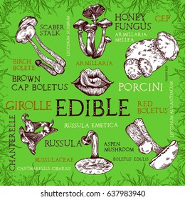 Edible mushroom set with mouth and tongue in engraved style. Subscribed with several titles. Vector illustration with lettering.