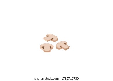 Edible mushroom. Shiitake, oyster, cremini, white button vector illustration isolated on white background.