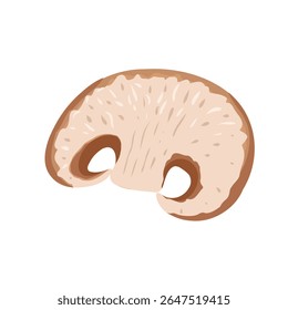 Fatia de cogumelo comestível. cogumelo gorro marrom isolado no fundo branco. ilustração de comida plana simples de vetor desenhado à mão para visuais, design de cozinha, embalagem, receitas, decoração de produto, adesivos