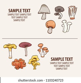 edible mushroom vector collection