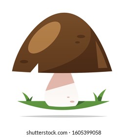 Edible mushroom vector isolated illustration