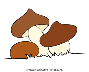 Edible mushrooms.