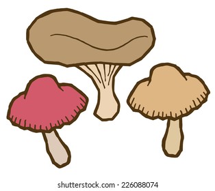 Edible mushrooms autumn - set of different mushrooms vector elements for design