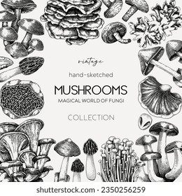 Edible mushrooms background. Forest mushrooms frame, card design. Fungi, healthy food, vegan product sketches. Autumn hand-drawn vector illustration. Engraved style design template