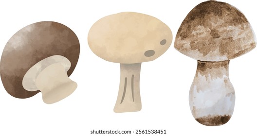 Edible Mushrooms Digital Watercolor Clipart