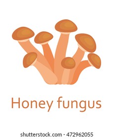 Edible mushrooms flat icon. Honey fungus. Vector illustration.