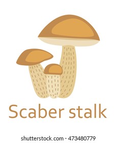 Edible mushrooms flat icon. Scaber stalk. Vector illustration.
