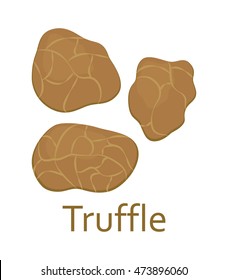 Edible mushrooms flat icon. Truffle. Vector illustration.
