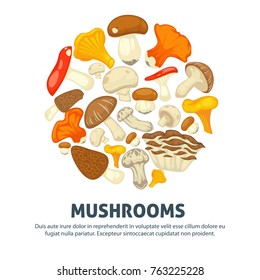 Edible mushrooms flat vector poster of forest champignon, chanterelle and exotic truffle mushroom