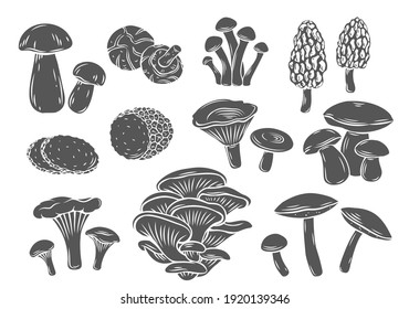 Edible mushrooms glyph vector icons. Engraved forest plants, natural protein food. Monochrome isolated mushrooms illustaration.