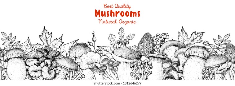 Edible mushrooms hand drawn. Autumn design.  Vector illustrations collection. Hand drawn food. Sketch mushrooms. Organic food. Forest mushrooms. Engraved design. 