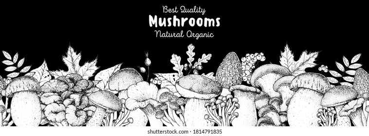 Edible mushrooms hand drawn. Autumn design. Vector illustrations collection. Hand drawn food. Sketch mushrooms. Organic food. Forest mushrooms. Engraved design.