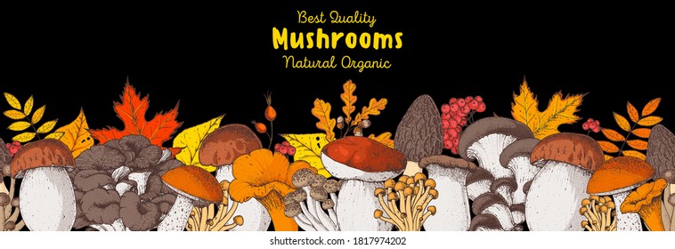 Edible mushrooms hand drawn. Autumn design. Vector illustrations collection. Hand drawn food. colorful forest mushrooms. Organic food. Forest mushrooms. Cartoon design.