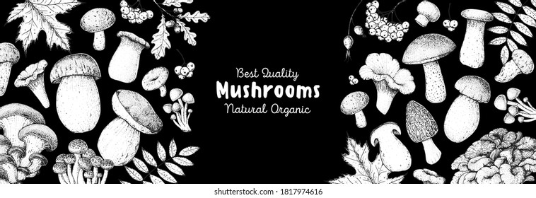 Edible mushrooms hand drawn. Autumn design. Vector illustrations collection. Hand drawn food. Sketch mushrooms. Organic food. Forest mushrooms. Engraved design.
