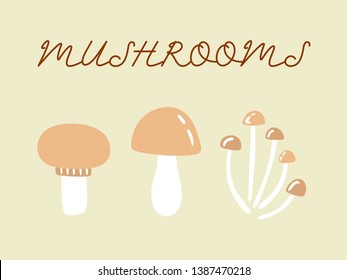 Edible mushrooms hand drawn doodle illustration. Cartoon vector print