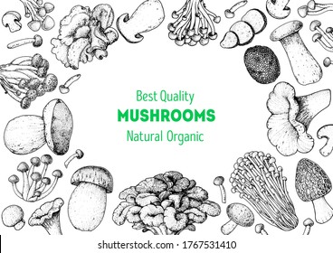 Edible mushrooms hand drawn sketch. Vector illustrations collection. Hand drawn food. Vintage mushrooms sketch. Organic food. Forest mushrooms. Vintage mushrooms background. Healthy food illustration.