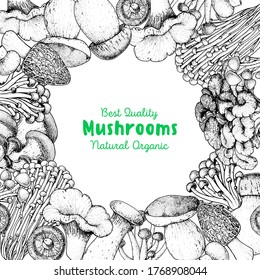 Edible mushrooms hand drawn sketch. Vector illustrations collection. Hand drawn food. Vintage mushrooms sketch. Organic food. Forest mushrooms. Vintage mushrooms background. Healthy food illustration.