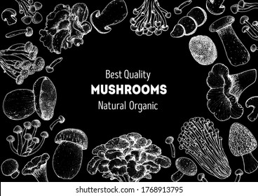 Edible mushrooms hand drawn sketch. Vector illustrations collection. Hand drawn food. Vintage mushrooms sketch. Organic food. Forest mushrooms. Vintage mushrooms background. Healthy food illustration.