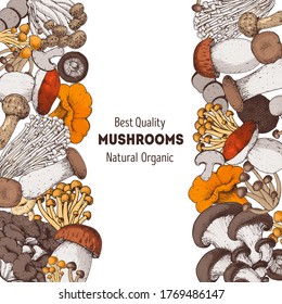 Edible mushrooms hand drawn. Vector illustrations collection. Hand drawn food. Vintage mushrooms. Organic food. Forest mushrooms. Vintage mushrooms background. Healthy food illustration. Colorful set.
