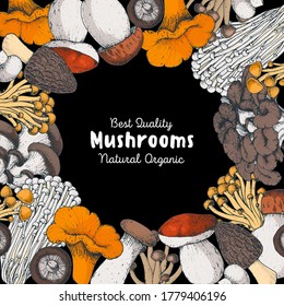 Edible mushrooms hand drawn. Vector illustrations collection. Hand drawn food. Vintage mushrooms. Organic food. Forest mushrooms. Vintage mushrooms background. Healthy food illustration. Colorful set.