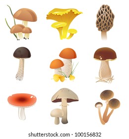 edible mushrooms icons set. EPS 10. File contains transparencies!