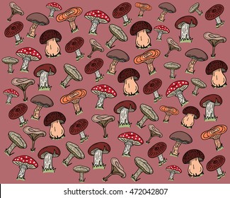 edible mushrooms illustration. Forest mushrooms. Pattern on red background