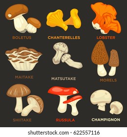 Edible mushrooms isolated flat vector icons set