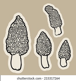 edible mushrooms morels (Morchella) cartoon vector.