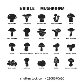 Edible mushrooms and name  black silhouette icons set  Vector illustration champignon  boletus  porcini  shiitake  truffle  morel  russula  Hand drawn isolated pictogram white background