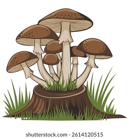 Edible mushrooms on stump isolated vector illustration on white background