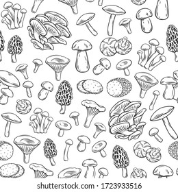 Edible mushrooms outline seamless pattern. Engraved forest plants, natural protein food. Drawn retro vector background with mushrooms for menu or shop design.