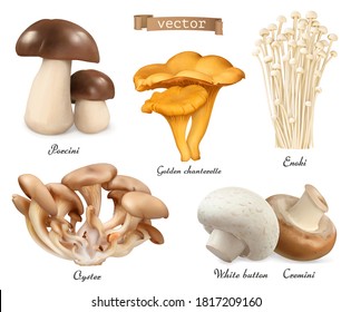 Edible mushrooms. Porcini, golden chanterelle, enoki, oyster mushrooms, cremini, white button. 3d vector realistic objects set. Food illustration