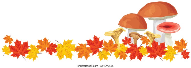 edible mushrooms and red, yellow, brown autumn leaves fall