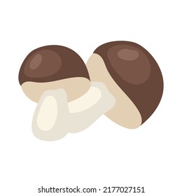 Edible mushrooms semi flat color vector object. Full sized item on white. Low in calories vegetable. Antioxidant properties. Simple cartoon style illustration for web graphic design and animation