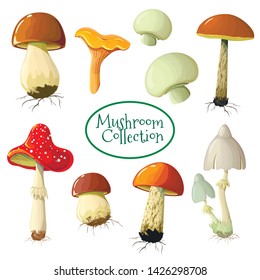 Edible mushrooms set Isolated on white. Vector illustration of different types of mushrooms, such as Champignon, Chanterelle, Porcini, Toadstool Fly-mushroom in trendy style. game cartoon mushroom.