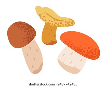 Edible mushrooms set isolated on white background. Flat vector illustration.