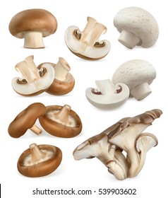 Edible mushrooms. Shiitake, oyster, cremini, white button. 3d vector icons set