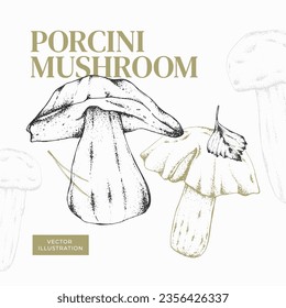 Edible mushrooms with spruce needles and fallen leaves. Porcini. Vector illustration. For menu design, recipes with ingredients, posters, textiles