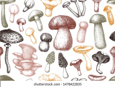 Edible mushrooms vector background.  Forest plants seamless pattern. Perfect for recipe, menu, label, icon, packaging. Vintage mushrooms design. Healthy food elements. Hand drawn illustration.