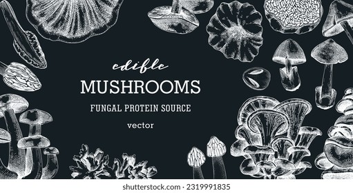 Edible mushrooms vector background. Vintage autumn forest plant frame on chalkboard. Fall banner design with hand drawn fungi sketches. Healthy food, fungal protein vector illustration for print 