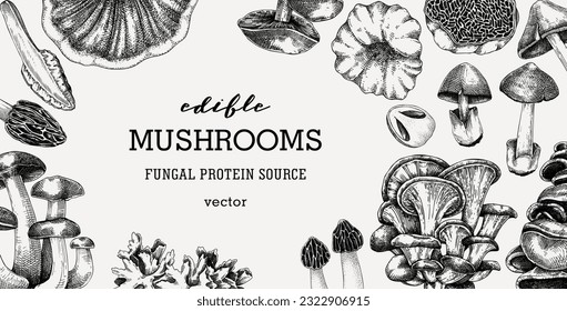 Edible mushrooms vector background. Vintage autumn forest plant frame. Fall banner design with hand drawn fungi sketches. Healthy food, fungal protein vector illustration for print and packaging