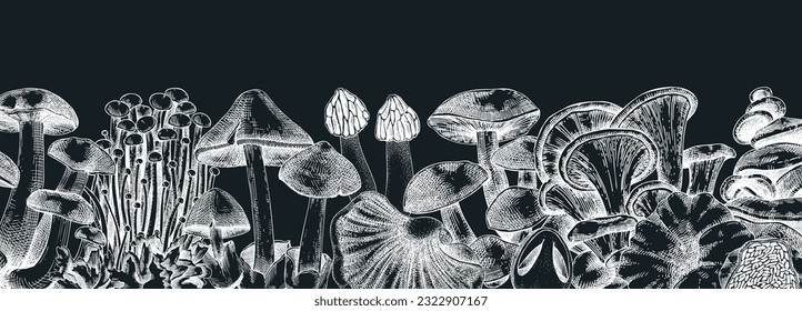 Edible mushrooms vector border on chalkboard. Vintage autumn forest plant banner. Fall banner design with hand drawn fungi sketches. Healthy food, fungal protein vector illustration for print 