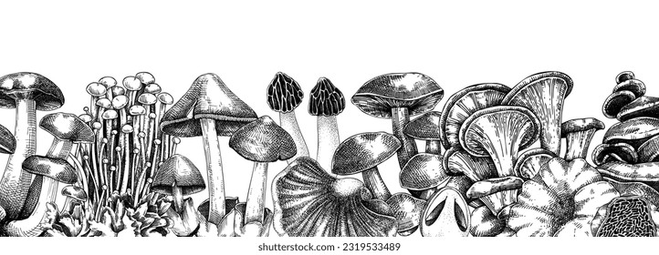 Edible mushrooms vector border. Vintage autumn forest plant banner. Fall design with hand drawn fungi sketches. Healthy food, fungal protein foods vector illustration for print and packaging