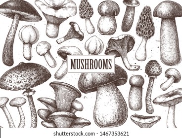 Edible mushrooms vector design. Hand drawn healthy food template. Forest plants sketches. Perfect for recipe, menu, label, icon, packaging. Vintage mushrooms background. Botanical illustration.