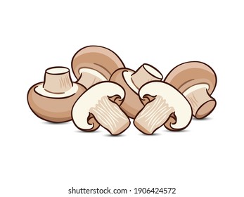 Edible mushrooms vector illustration drawing