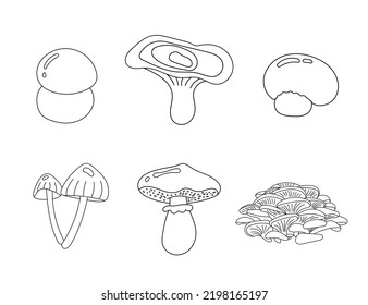 Edible mushrooms vector illustrations collection. Hand drawn food drawings. Forest plants sketches. Perfect for recipe, menu, label, icon, packaging, mushrooms outlines. Botanical set.